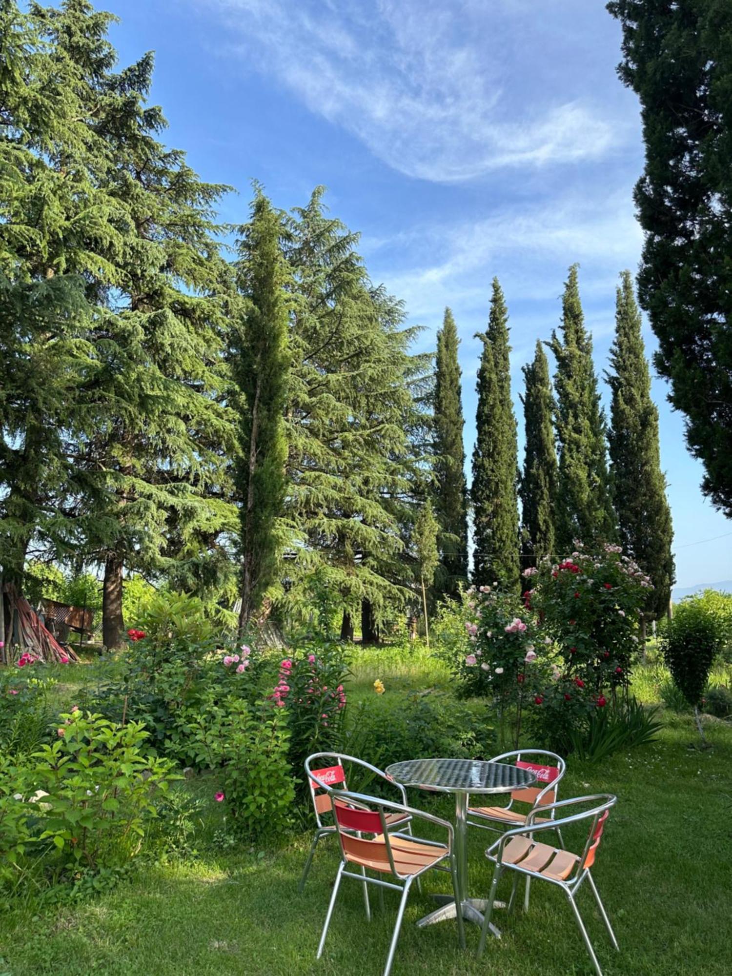 Orenda Telavi Exteriér fotografie